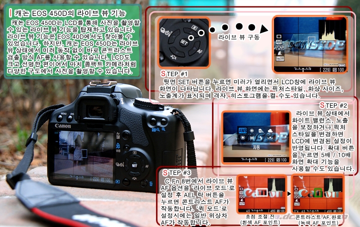 450d_DSC_3115.jpg