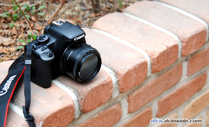 450d_DSC_3129.jpg