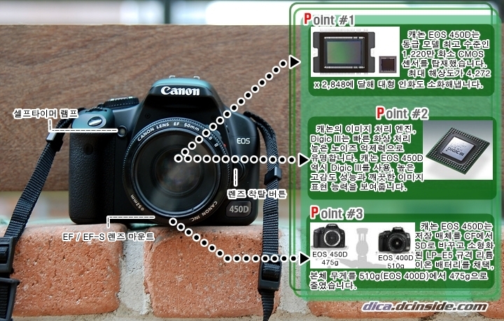450d_DSC_3133.jpg