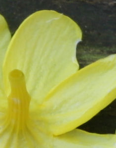 IMG_6910s.jpg