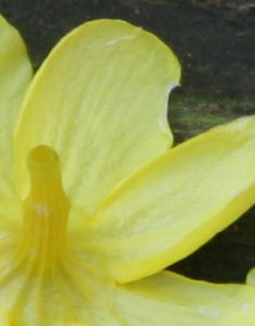 IMG_6911s.jpg