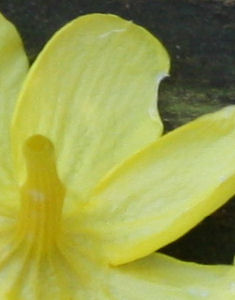 IMG_6912s.jpg