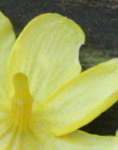 IMG_6914s.jpg