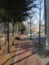 DSCF0040.jpg