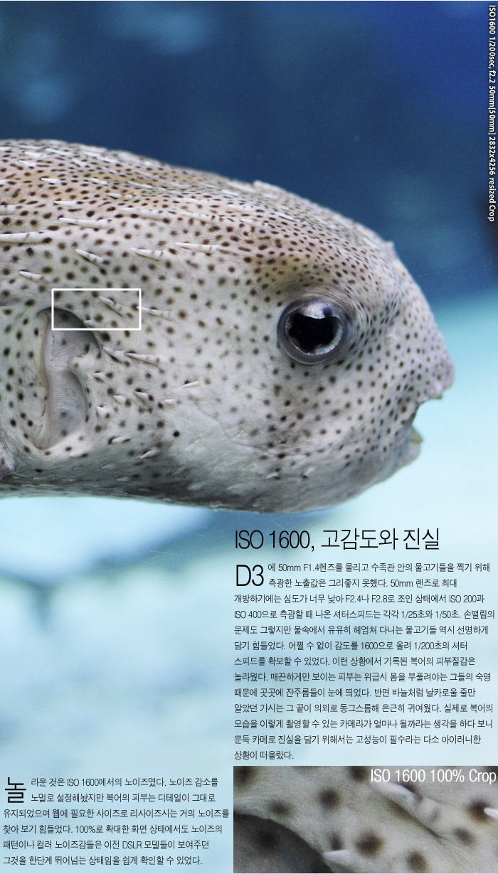 20071214_d3_02_017.jpg