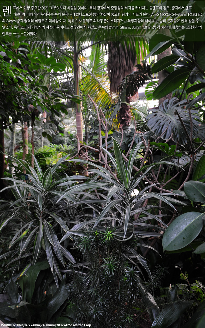 20071214_d3_03_05.jpg