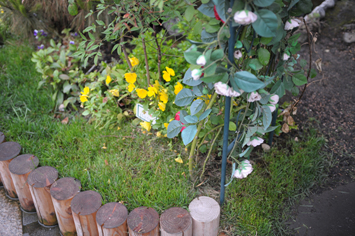 DSC_0079.jpg