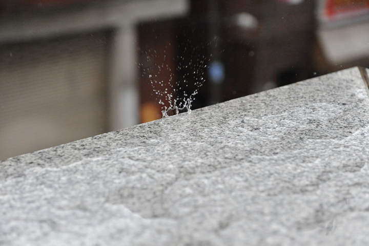 DSC_0491.jpg