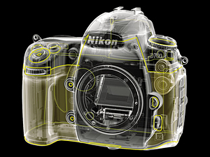 d7004.jpg