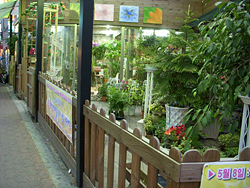 DSCN0037.jpg