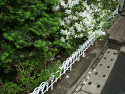 DSCN0038.jpg
