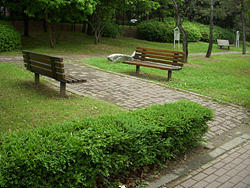 DSCN0040.jpg