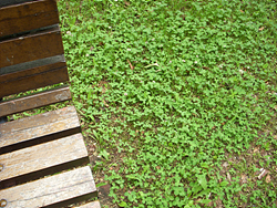DSCN0041.jpg