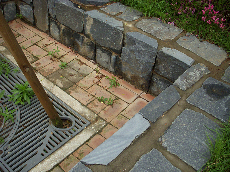 DSCN0042.jpg