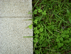 DSCN0047.jpg