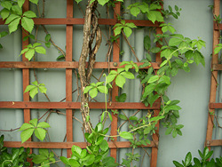 DSCN0049.jpg