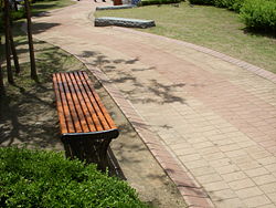 DSCN0051.jpg
