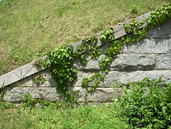 DSCN0052.jpg