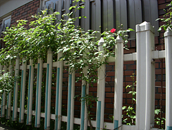 DSCN0053.jpg