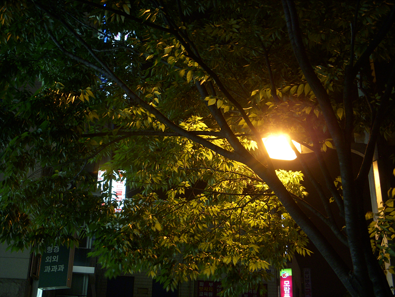 DSCN0082.jpg