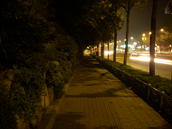 DSCN0084.jpg