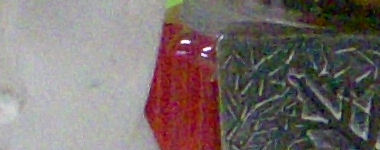 DSCN0098c1.jpg