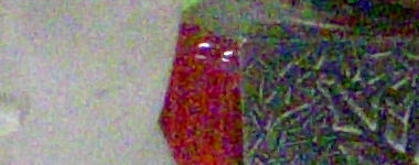 DSCN0099c1.jpg