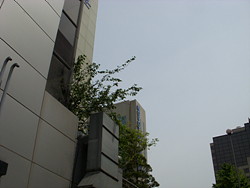 DSCN0100.jpg