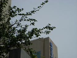 DSCN0101.jpg