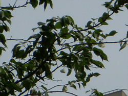 DSCN0102.jpg