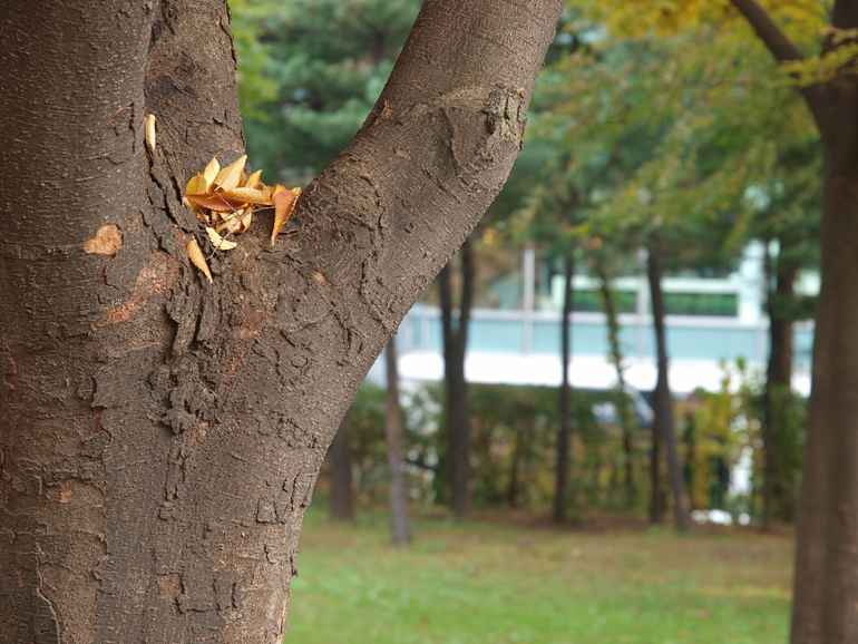 PA310074.jpg