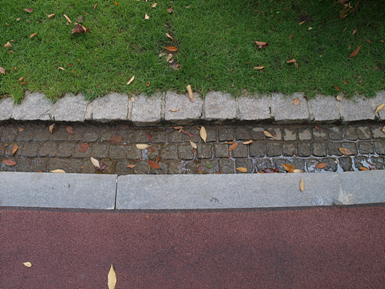PA310090.jpg