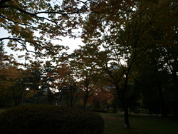 PA310091.jpg