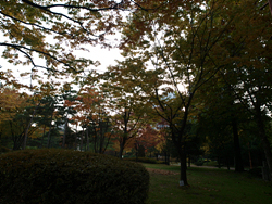 PA310092.jpg