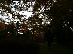 PA310093.jpg