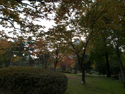 PA310094.jpg