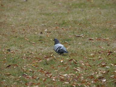 PA310108.jpg