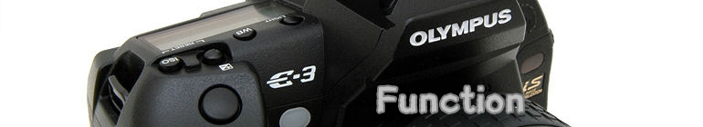 f3.jpg