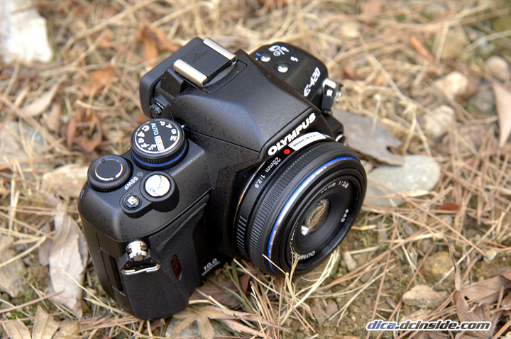 DSC_5194.jpg