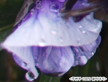 P3230426s2.jpg