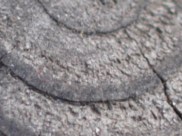 P3250466s.jpg