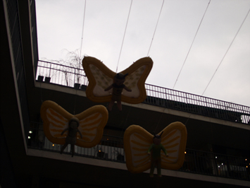 P3250468.jpg