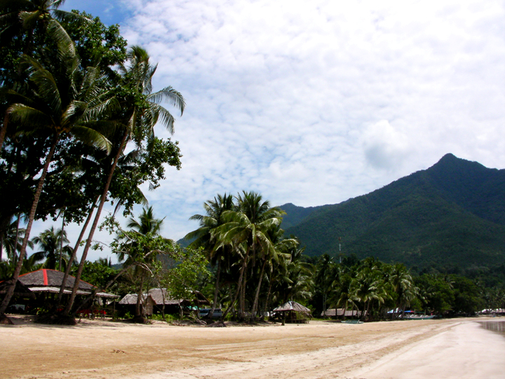 SANY0013.jpg