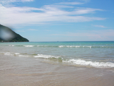 SANY0030.jpg
