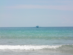 SANY0031.jpg