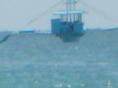 SANY0032.jpg