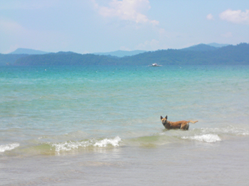 SANY0043.jpg