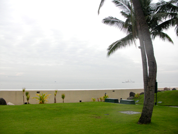 SANY0068.jpg