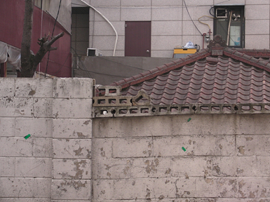 SANY0051.jpg