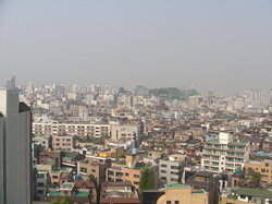 SANY0071.jpg